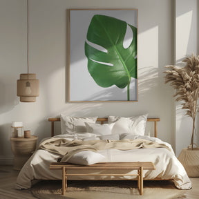 Bright green monstera leaf Poster