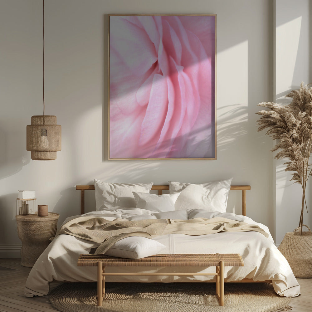 Soft pink petals Poster