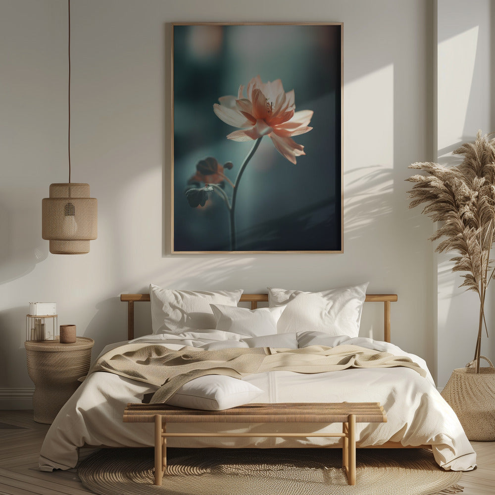 Coral Flowers At Night Poster