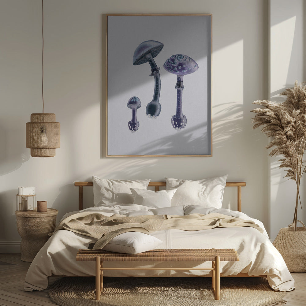 Amanita Muscaria  White Backgound Purple Poster