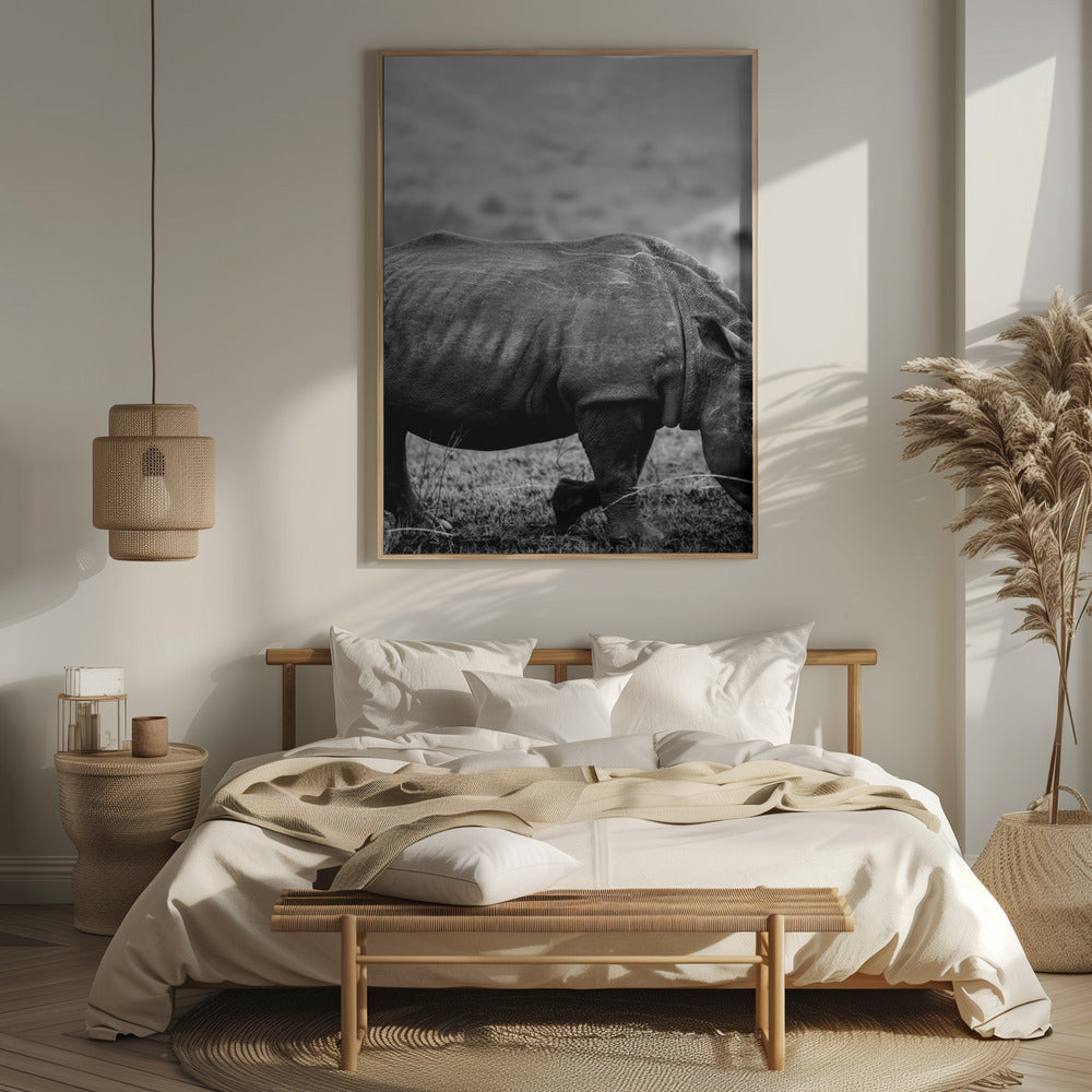 Black Rhino Poster