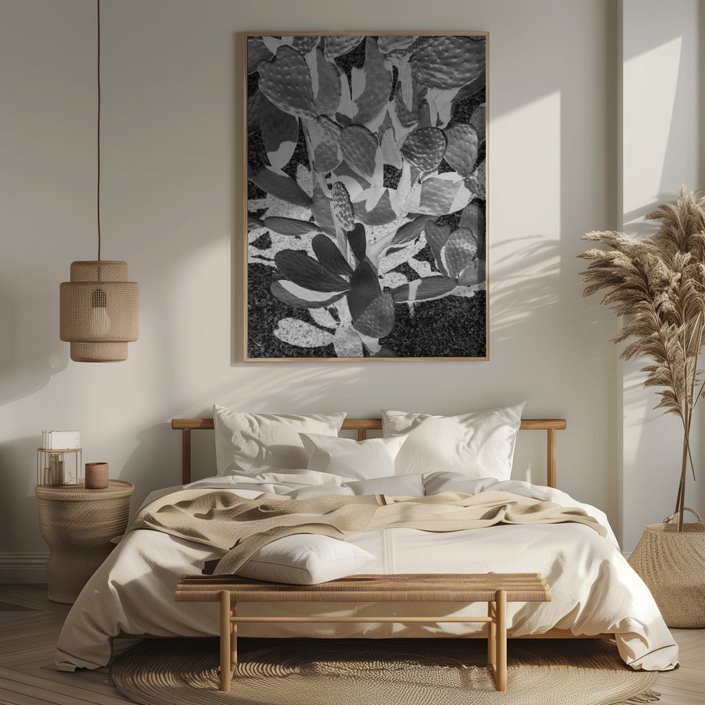 Cacti Cowboy No2 Poster