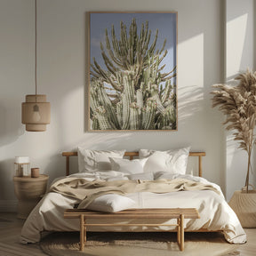 Catus Forest Poster