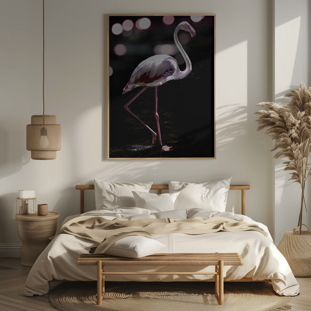 Dancing Flamingo Poster