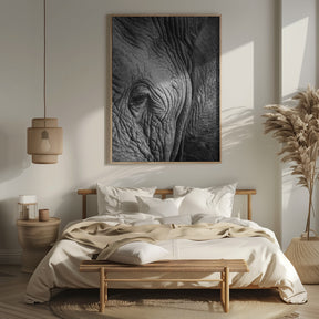 Elephant Study Poster