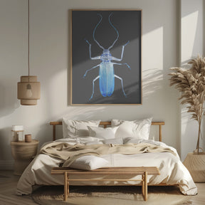 Insect Evolution Poster