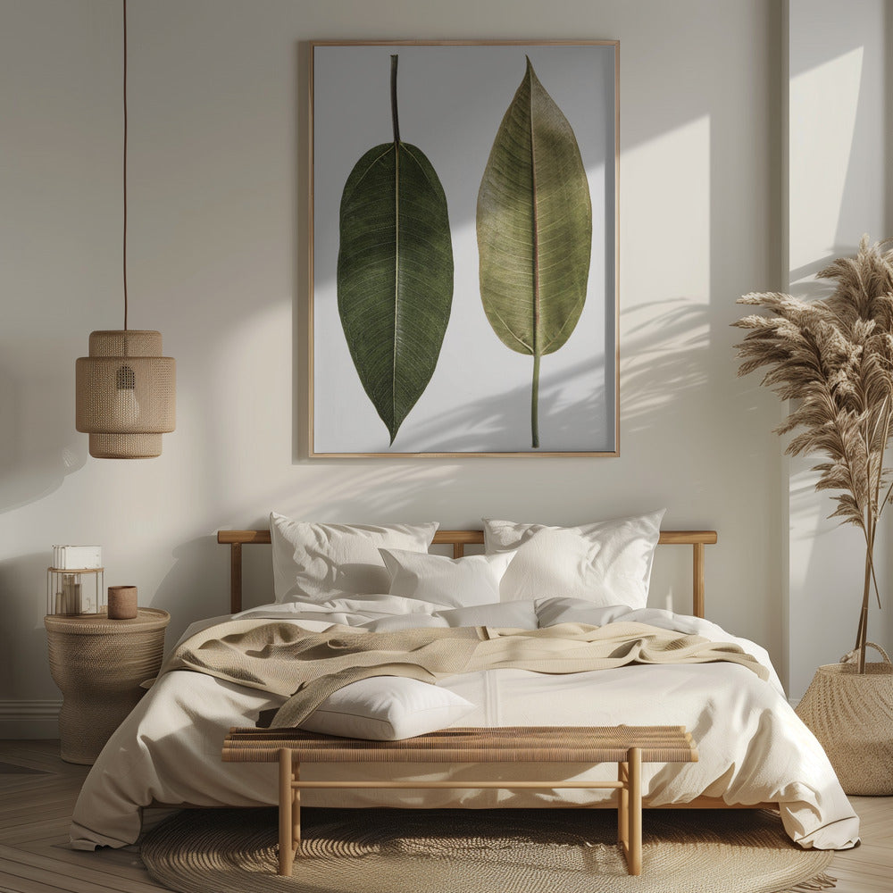 Leaf Study 05 Poster