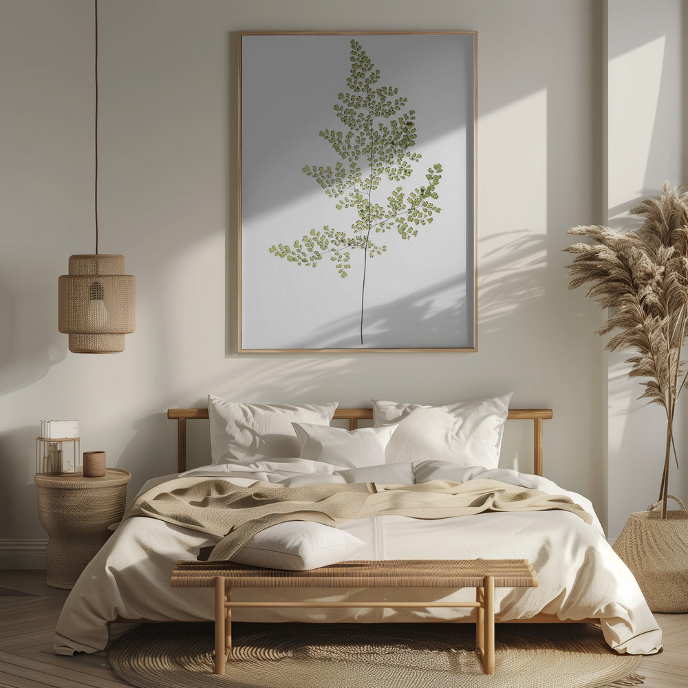 Leaf Study 06 Poster