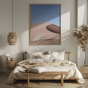 Namib Two Poster