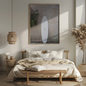 Safari Twinfin Poster