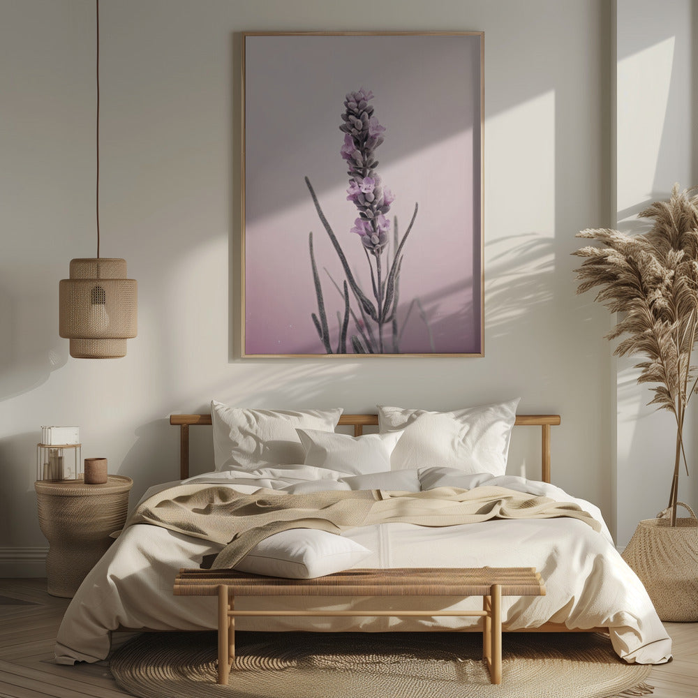 Pastel Lavender Poster