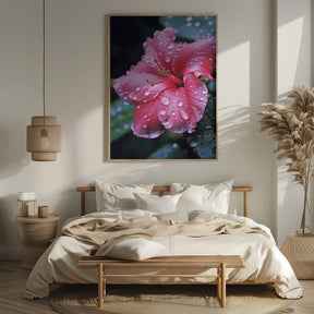 Pink Hibiscus Poster