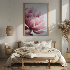 Peony 1 Poster