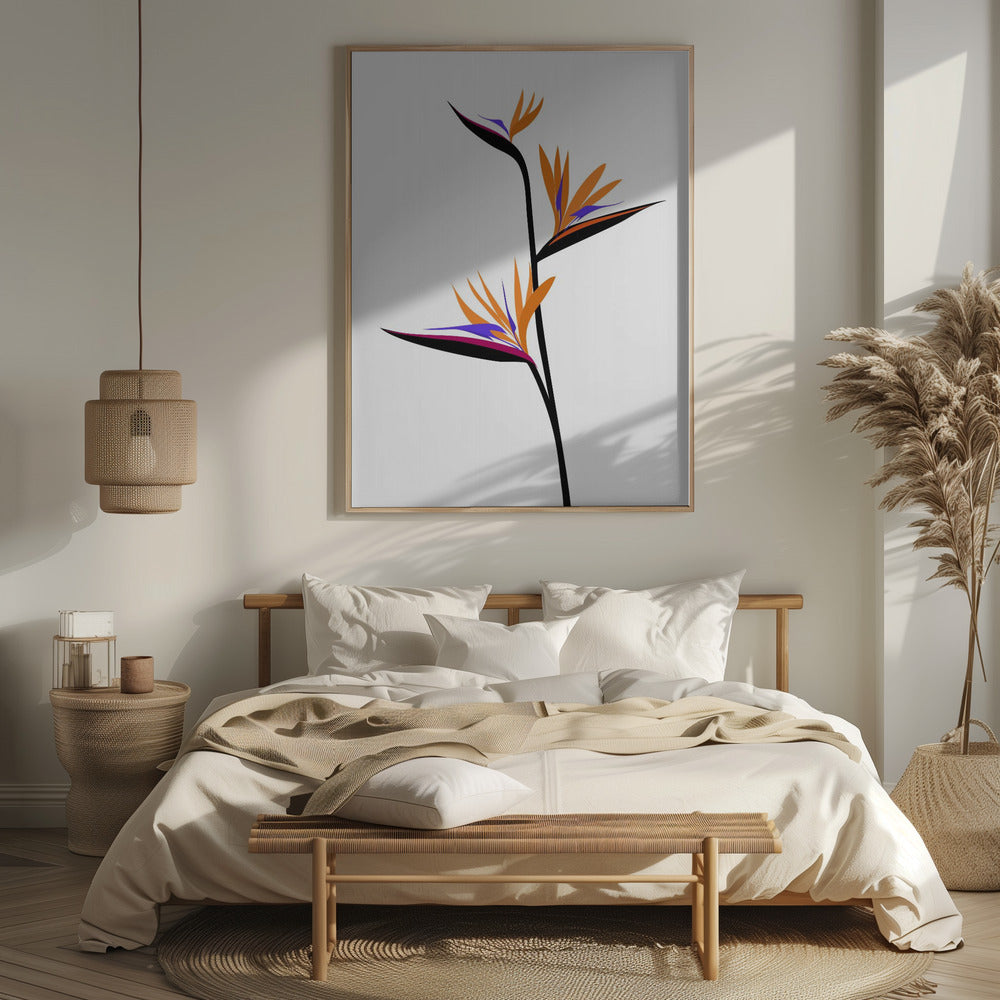 Bird of paradise in black Poster