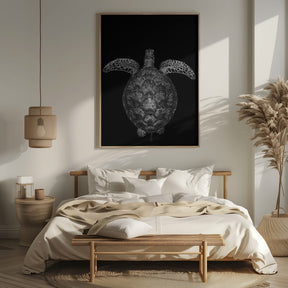 Green turtle on black and white Poster