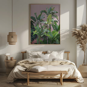 Ibiza Palmtrees Poster