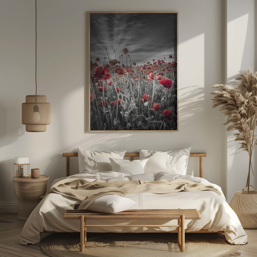 Gorgeous sunset in a poppy field | colorkey Poster