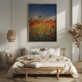 Gorgeous sunset in a poppy field Poster