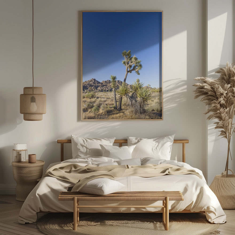 Idyllic Joshua Tree National Park Poster