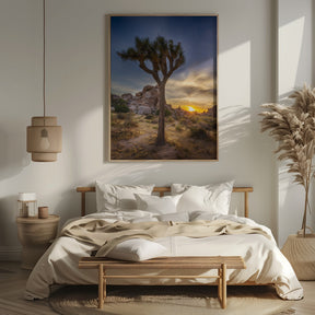 Charming sunset at Joshua Tree National Park Poster