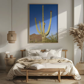 SAGUARO NATIONAL PARK Giant Saguaro Poster