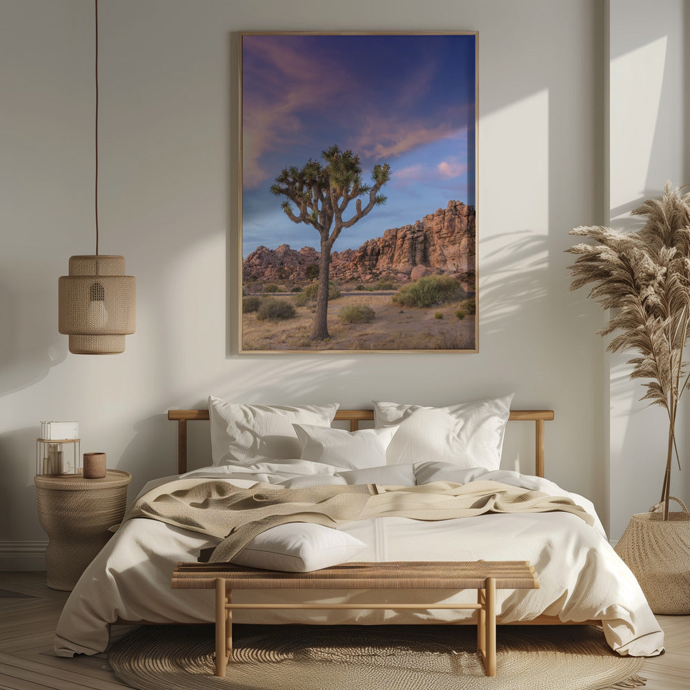 Joshua Tree Evening Atmosphere Poster