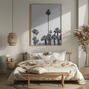 Palm Trees at the beach | monochrome Poster