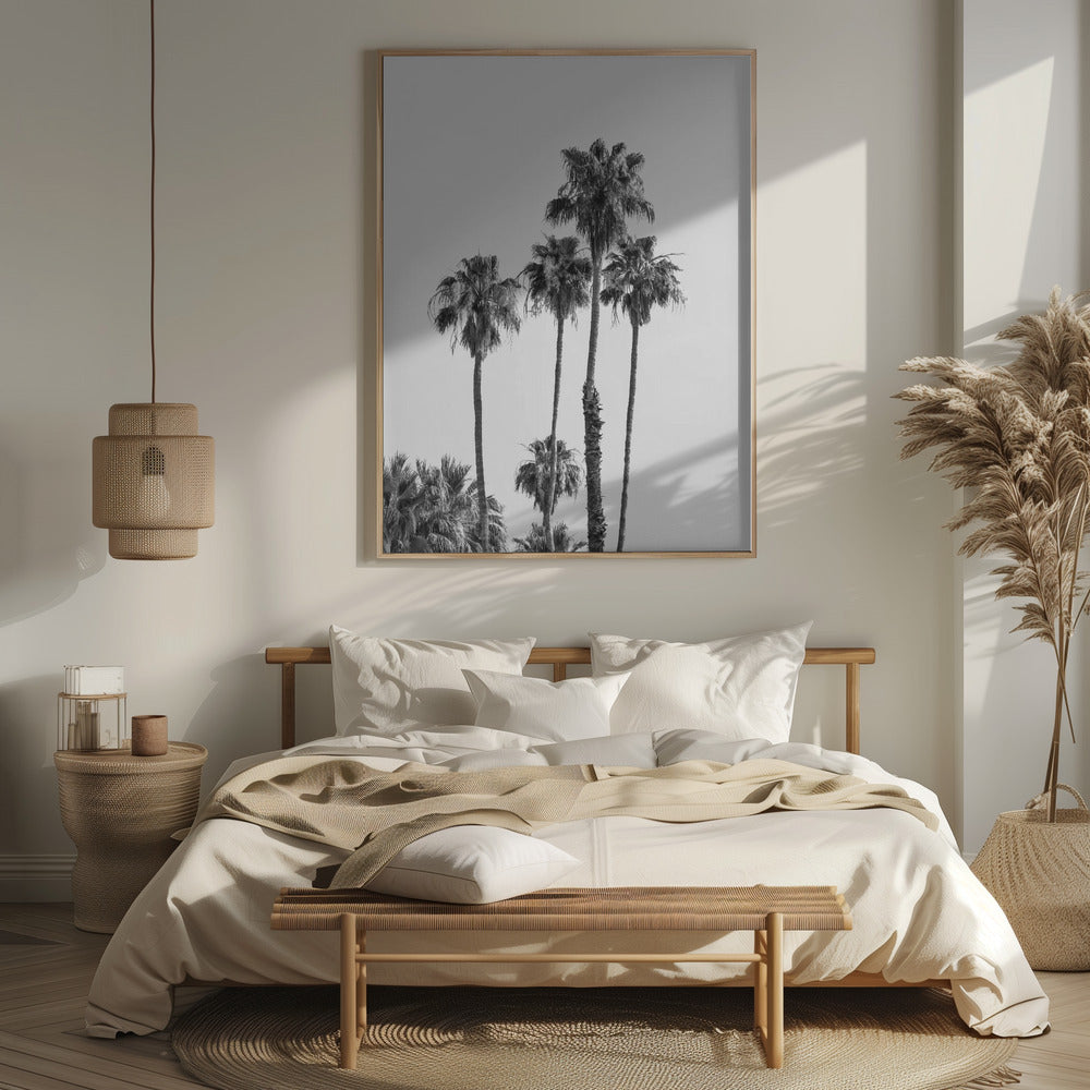 Palm trees | monochrome Poster