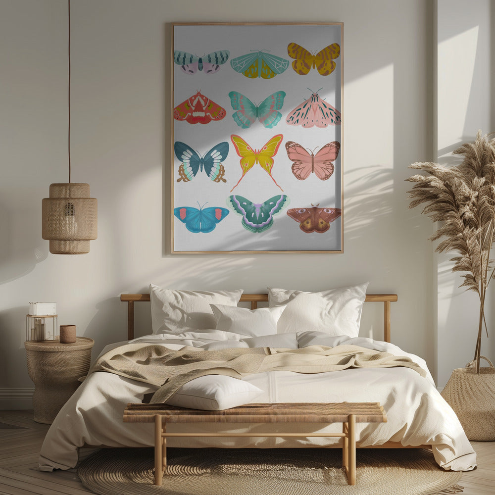 Butterfly Poster