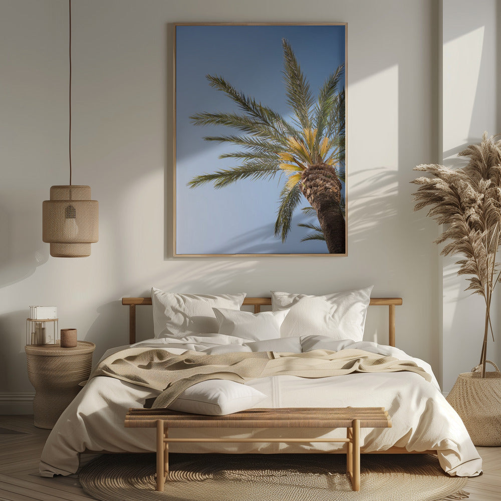 Vejer de La Frontera Palm Tree Poster