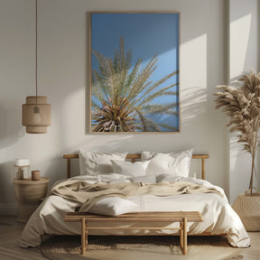 Moroccan Coast Palm Tree Poster