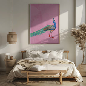 Peacock wearing heels Poster