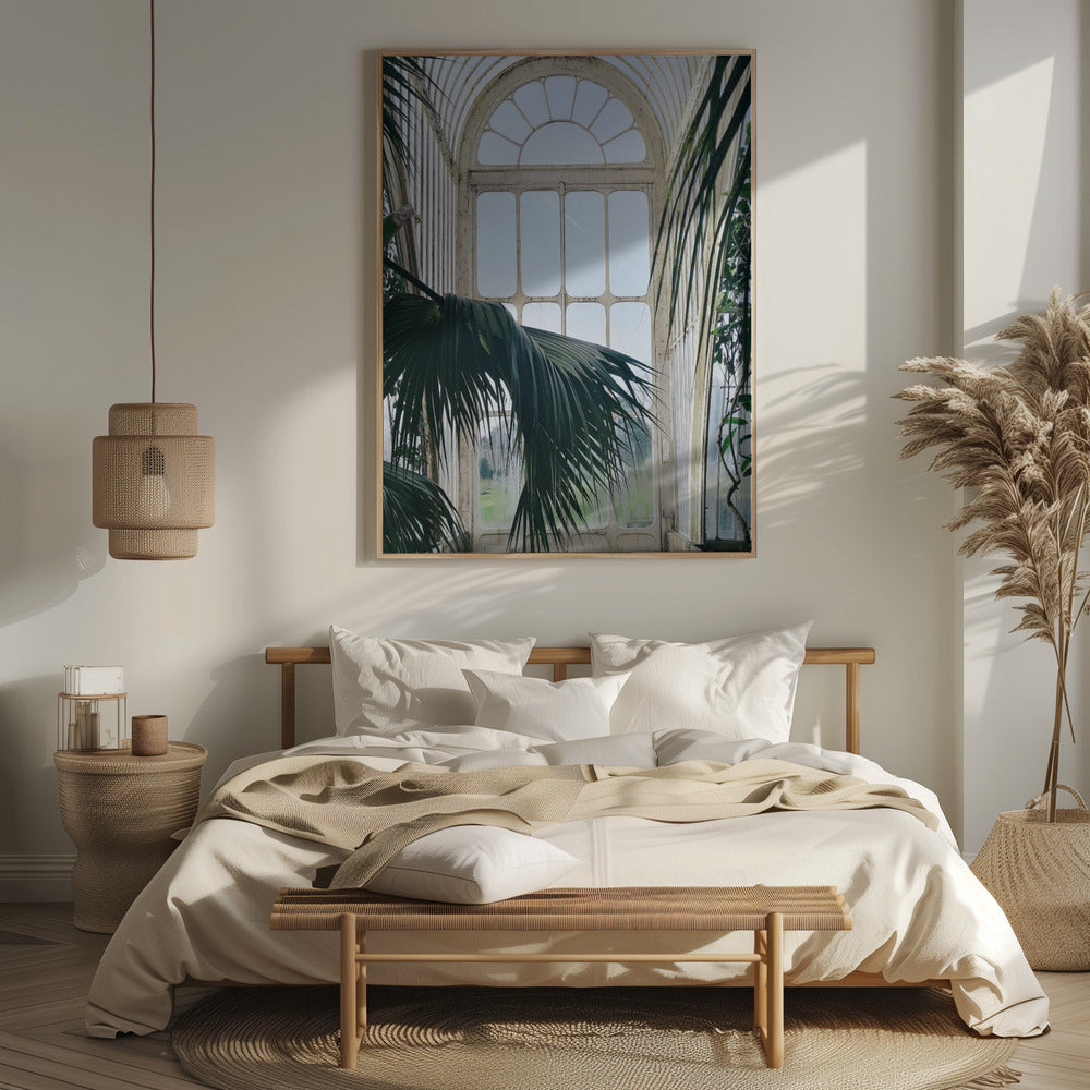 Palm House Windows Poster