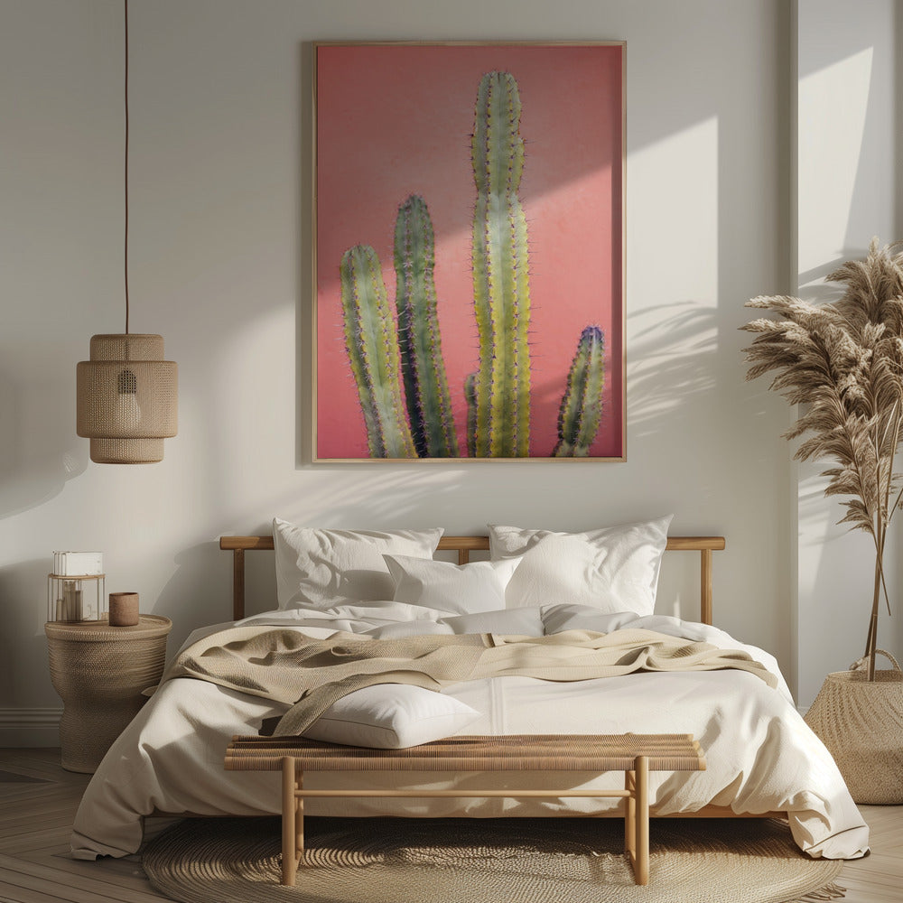 Pretty Pink Cactus Marrakech Poster