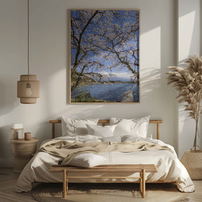 Charming Lake Tanuki with Mount Fuji Poster