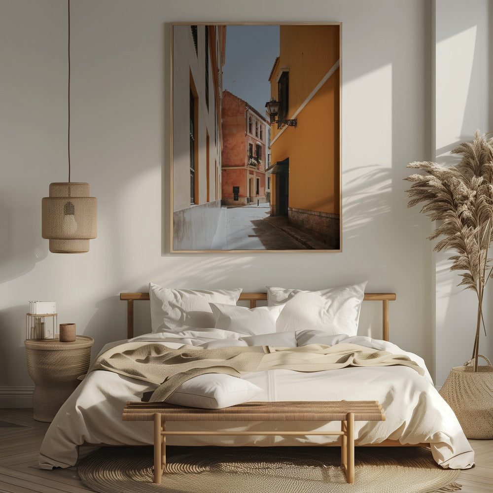 Terracotta Street Poster