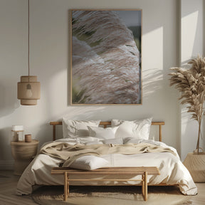 Beach Pampas Poster