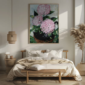 Potted pink hydrangeas Poster