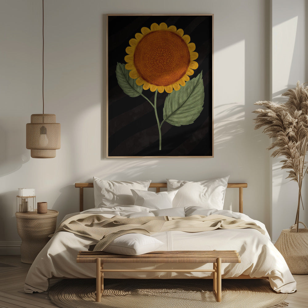 Sunflower Poster