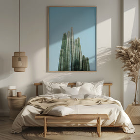 Tall Cacti Poster