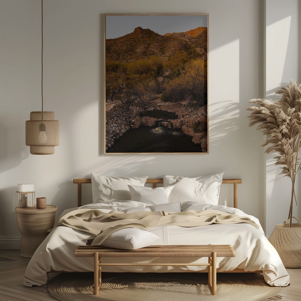 Ventana Canyon Poster