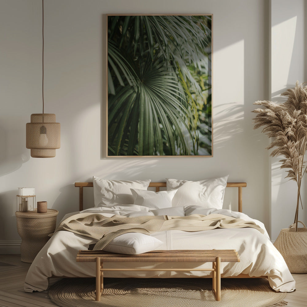 Areca Palm Poster