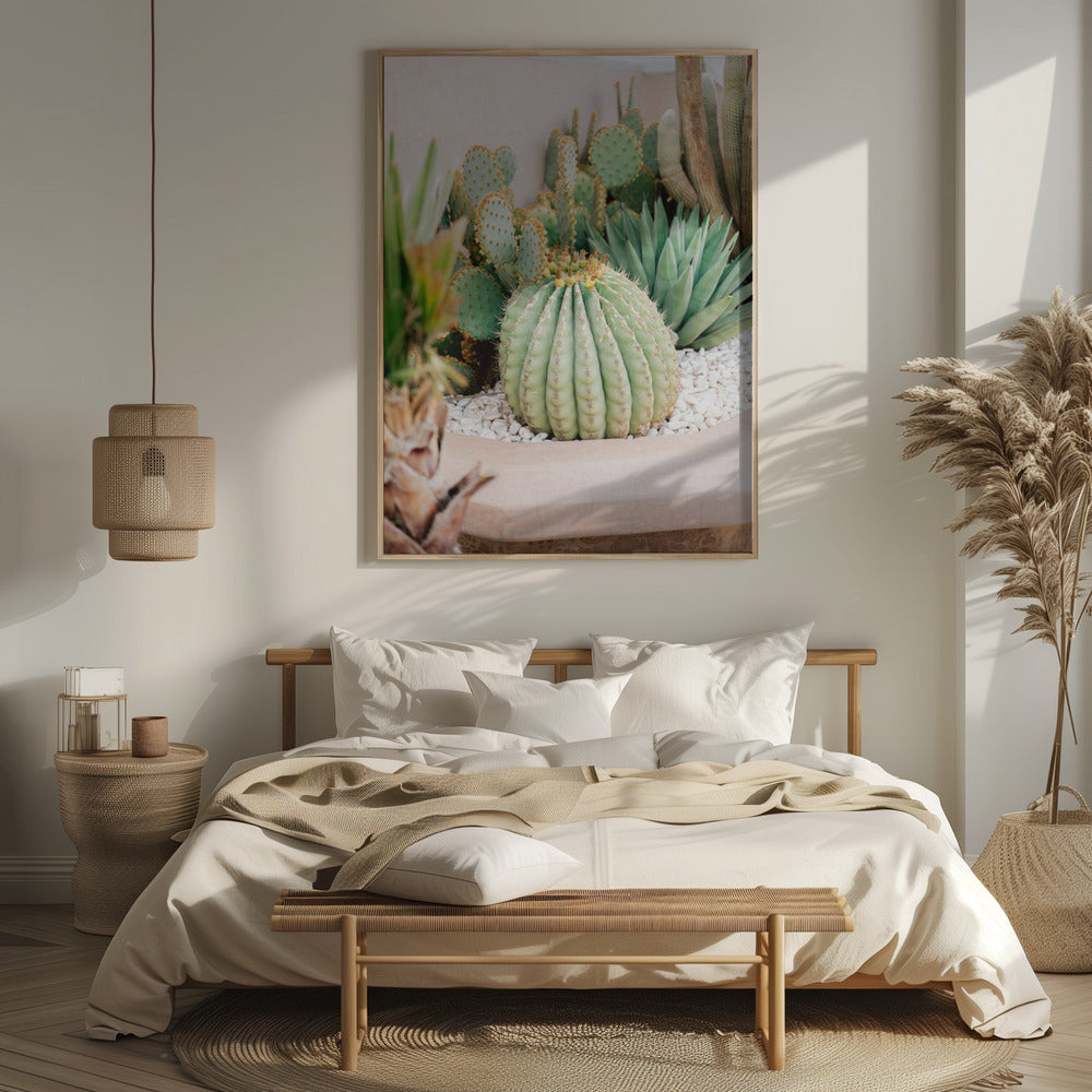 Cactus Love | Marrakech Travel Photography Poster