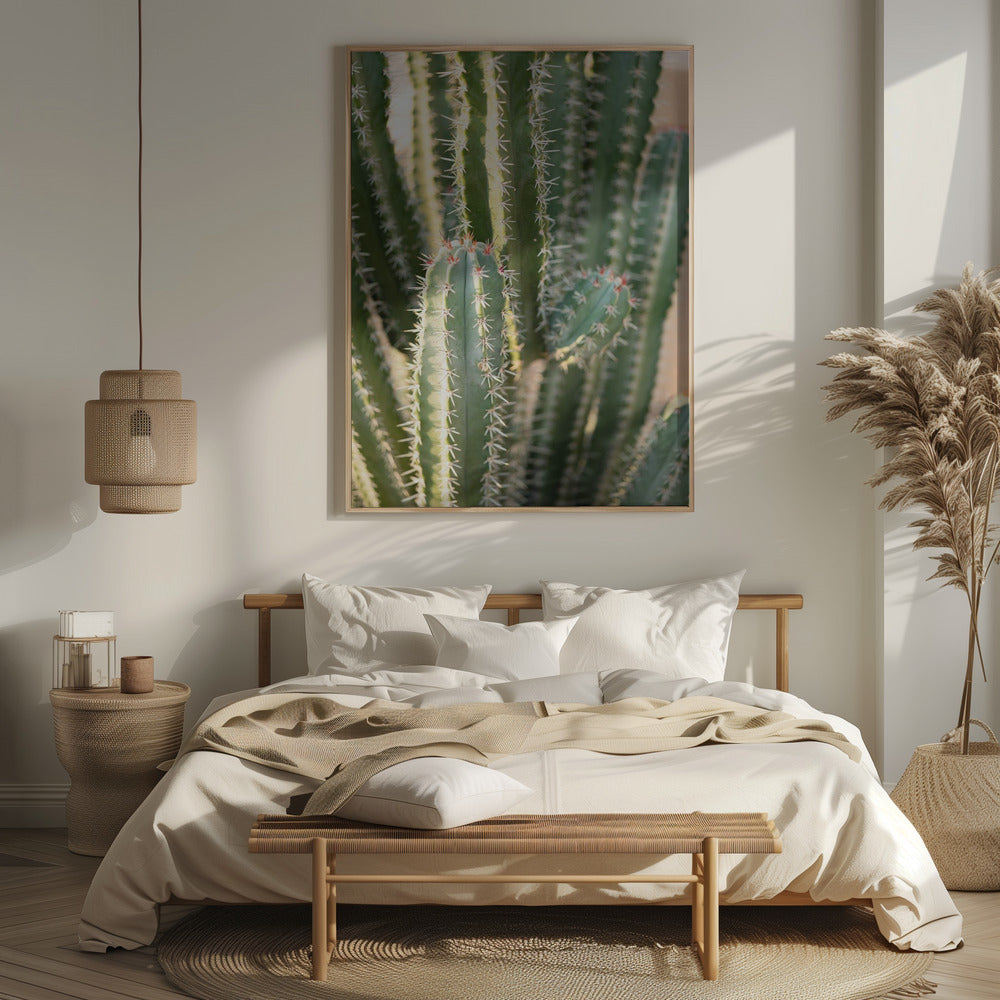 Gold &amp; Green Cacti Marrakech Poster