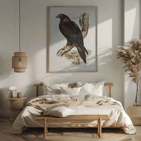 Wedge Tailed Eagle Poster