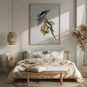 Cockatoo Parakeet Poster