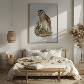 Grass Owl Poster