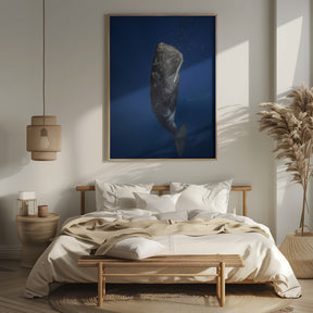 Candle sperm whale Poster