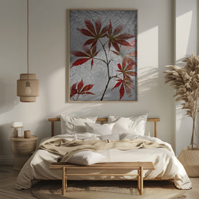 red maple Poster