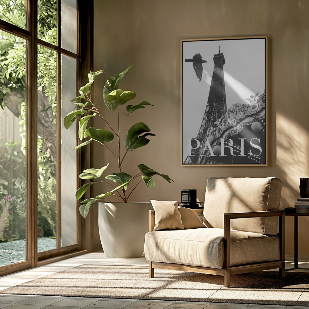 Paris Dove Poster